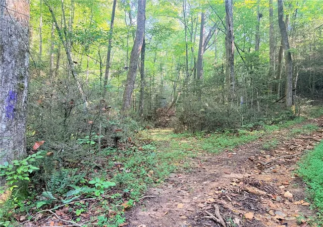 Photo 2 of Land for sale at Tbd Buck Dr, Hays, NC 28635 | MLS# 1234856 | Listing updated on 2026-09-18