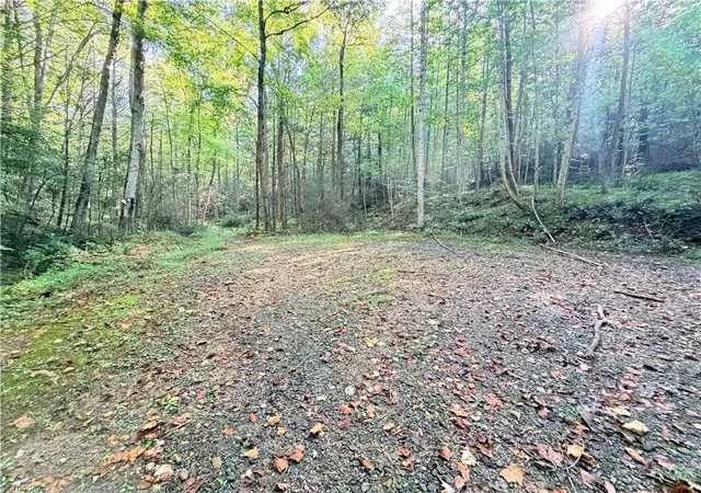 Photo 3 of Land for sale at Tbd Buck Dr, Hays, NC 28635 | MLS# 1234856 | Listing updated on 2026-09-18