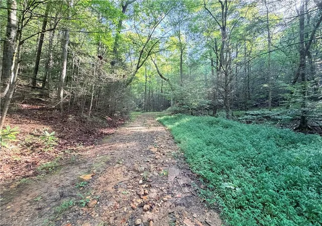 Photo 4 of Land for sale at Tbd Buck Dr, Hays, NC 28635 | MLS# 1234856 | Listing updated on 2026-09-18