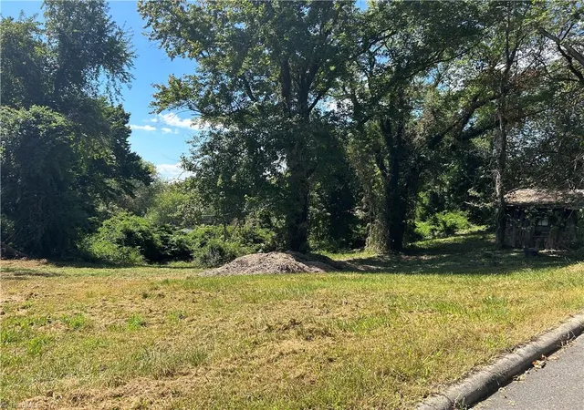 Photo 3 of Land for sale at Tbd Linville Rd, Mount Airy, NC 27030 | MLS# 1235582 | Listing updated on 2026-09-16