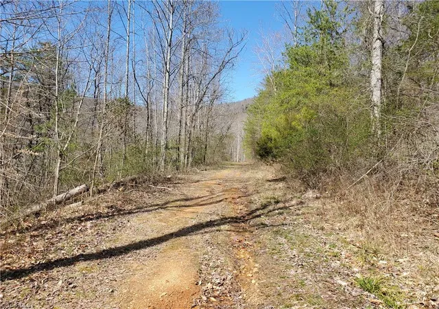 Photo 2 of Land for sale at 8057 Nc Hwy 16, Moravian Falls, NC 28654 | MLS# 1234797 | Listing updated on 2026-09-07