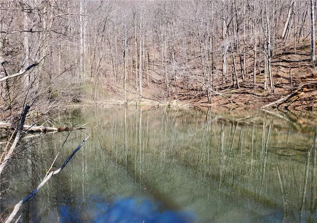 Photo 3 of Land for sale at 8057 Nc Hwy 16, Moravian Falls, NC 28654 | MLS# 1234797 | Listing updated on 2026-09-07