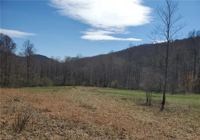 Photo 3 of Land for sale at 8057 Nc Hwy 16, Moravian Falls, NC 28654 | MLS# 1234797 | Listing updated on 2026-09-07