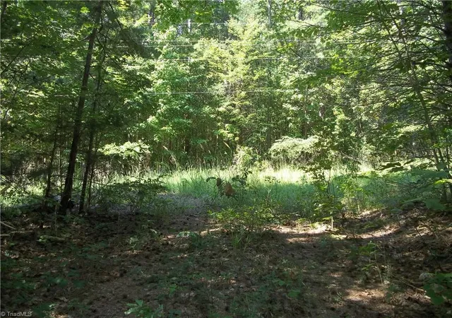 Photo 3 of Land for sale at 0 Clyde King Rd, Seagrove, NC 27341 | MLS# 1234066 | Listing updated on 2026-09-09