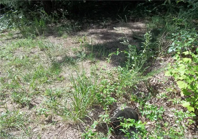 Photo 3 of Land for sale at 0 Clyde King Rd, Seagrove, NC 27341 | MLS# 1234066 | Listing updated on 2026-09-09