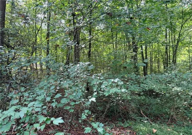 Photo 1 of Sale Pending at 0 Carmi Ln, Salisbury, NC 28144 | MLS# 1235758 | Listing updated on 2026-09-19