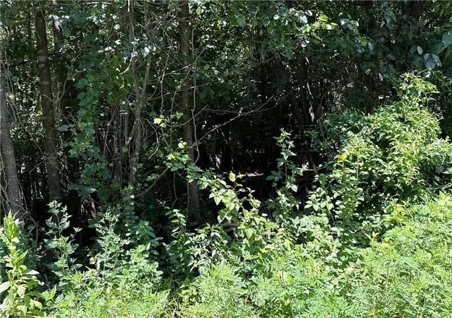 Photo 1 of Land for sale at Tbd Worthington Dr, North Wilkesboro, NC 28659 | MLS# 1234849 | Listing updated on 2026-10-07