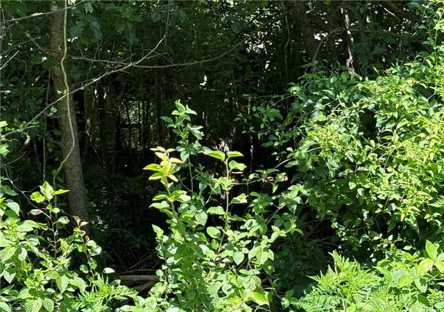 Photo 2 of Land for sale at Tbd Worthington Dr, North Wilkesboro, NC 28659 | MLS# 1234849 | Listing updated on 2026-10-07