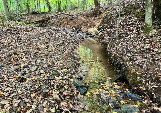 Photo 1 of Land for sale at 3933 Simmons Patton Rd, Jonesville, NC 28642 | MLS# 1235903 | Listing updated on 2026-09-23