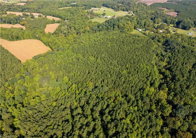 Photo 4 of Land for sale at 2643 Roberts Chapel Rd, Goldston, NC 27252 | MLS# 1235891 | Listing updated on 2026-09-17