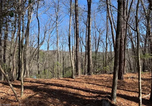 Photo 2 of Land for sale at Lot 2 Sutters Ridge Rd, Mc Grady, NC 28649 | MLS# 1234226 | Listing updated on 2026-09-16