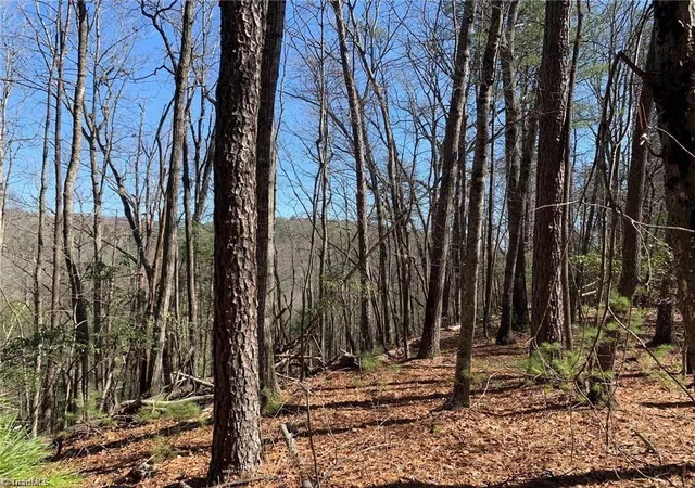 Photo 3 of Land for sale at Lot 2 Sutters Ridge Rd, Mc Grady, NC 28649 | MLS# 1234226 | Listing updated on 2026-09-16