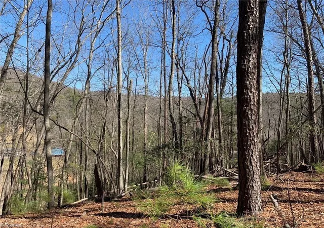 Photo 3 of Land for sale at Lot 2 Sutters Ridge Rd, Mc Grady, NC 28649 | MLS# 1234226 | Listing updated on 2026-09-16