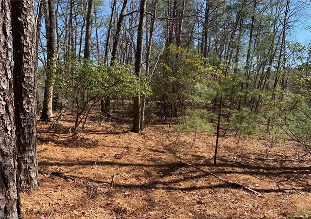 Photo 4 of Land for sale at Lot 2 Sutters Ridge Rd, Mc Grady, NC 28649 | MLS# 1234226 | Listing updated on 2026-09-16