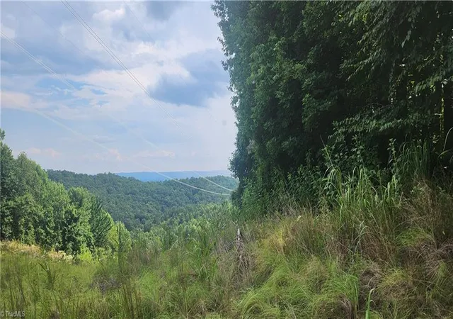Photo 3 of Land for sale at 0 Lyons Rd, Roaring Gap, NC 28668 | MLS# 1234234 | Listing updated on 2026-10-01