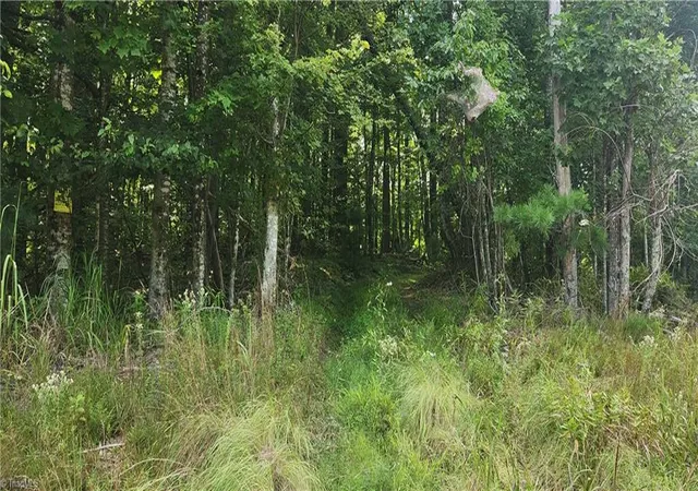 Photo 4 of Land for sale at 0 Lyons Rd, Roaring Gap, NC 28668 | MLS# 1234234 | Listing updated on 2026-10-01