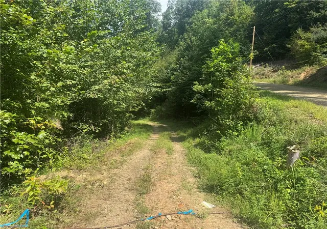 Photo 2 of Land for sale at Tbd Stony Frk Rd, Ferguson, NC 28624 | MLS# 1234844 | Listing updated on 2026-09-08