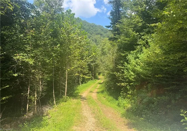 Photo 3 of Land for sale at Tbd Stony Frk Rd, Ferguson, NC 28624 | MLS# 1234844 | Listing updated on 2026-09-08