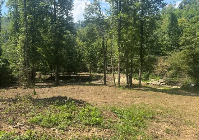 Photo 3 of Land for sale at Tbd Stony Frk Rd, Ferguson, NC 28624 | MLS# 1234844 | Listing updated on 2026-09-08