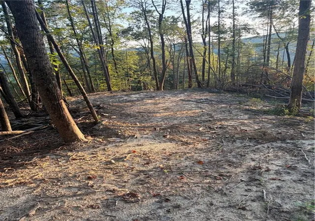 Photo 1 of Sale Pending at Tbd Lot 2 Old Nc Hwy 16, Millers Creek, NC 28651 | MLS# 1236416 | Listing updated on 2026-10-02