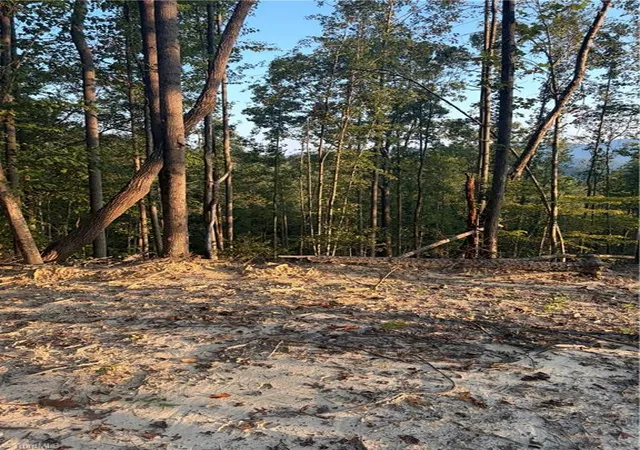 Photo 3 of Sale Pending at Tbd Lot 2 Old Nc Hwy 16, Millers Creek, NC 28651 | MLS# 1236416 | Listing updated on 2026-10-02