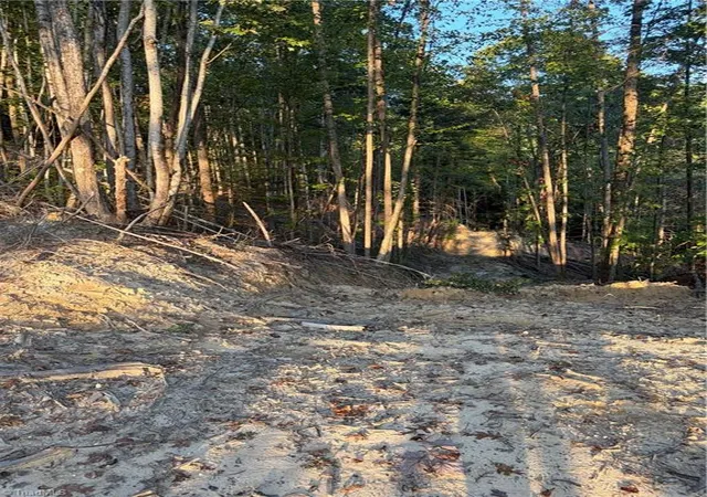 Photo 3 of Sale Pending at Tbd Lot 2 Old Nc Hwy 16, Millers Creek, NC 28651 | MLS# 1236416 | Listing updated on 2026-10-02