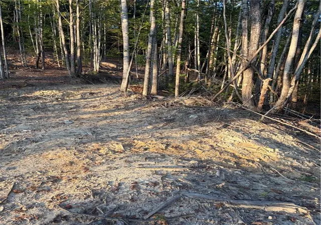 Photo 4 of Sale Pending at Tbd Lot 2 Old Nc Hwy 16, Millers Creek, NC 28651 | MLS# 1236416 | Listing updated on 2026-10-02