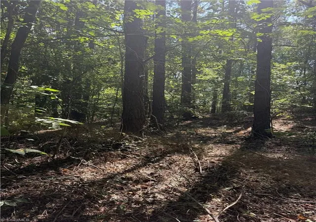 Photo 3 of Land for sale at 0000 Cook Florist Rd, Reidsville, NC 27320 | MLS# 1234651 | Listing updated on 2026-09-05