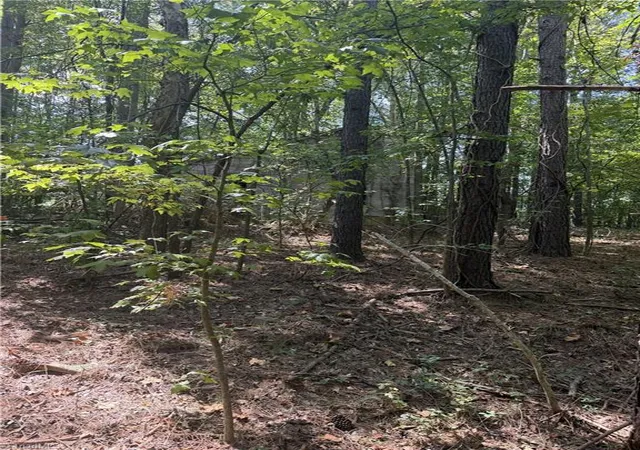 Photo 3 of Land for sale at 0000 Cook Florist Rd, Reidsville, NC 27320 | MLS# 1234651 | Listing updated on 2026-09-05