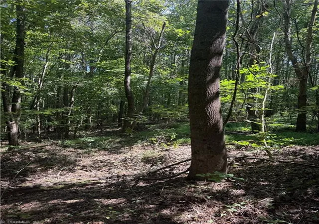 Photo 4 of Land for sale at 0000 Cook Florist Rd, Reidsville, NC 27320 | MLS# 1234651 | Listing updated on 2026-09-05