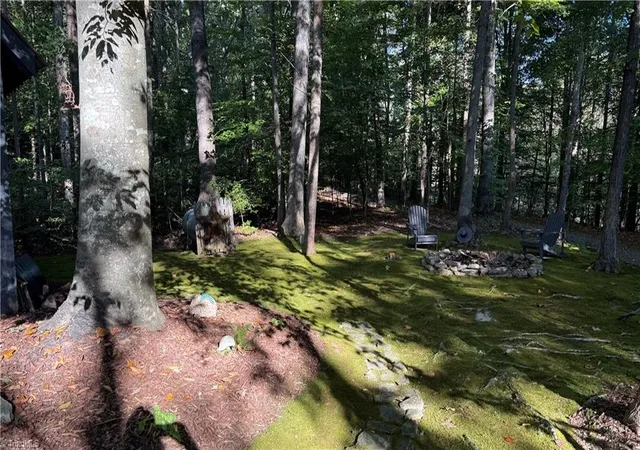 Photo 3 of Single family home for sale at 231 Crissman Ln, Dobson, NC 27017 | MLS# 1238708 | Listing updated on 2026-10-12
