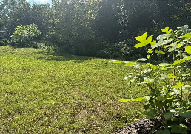Photo 3 of Land for sale at 2329 Dunbar St, Winston Salem, NC 27105 | MLS# 1234416 | Listing updated on 2026-09-05
