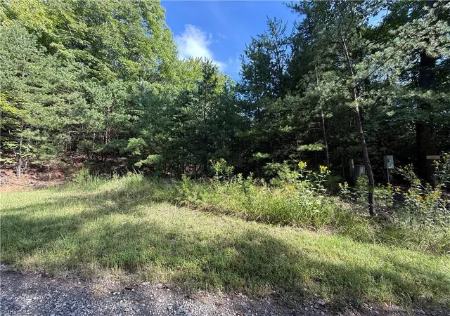 Photo 1 of Sale Pending at Lot 24 Wolf Pen Rd, Purlear, NC 28665 | MLS# 1235819 | Listing updated on 2026-09-21