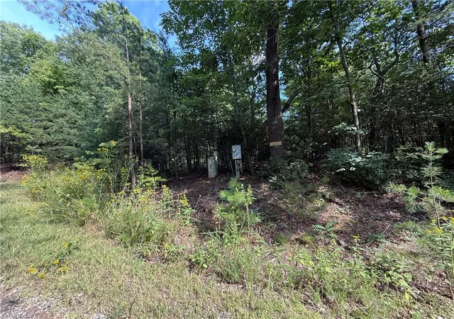Photo 2 of Sale Pending at Lot 24 Wolf Pen Rd, Purlear, NC 28665 | MLS# 1235819 | Listing updated on 2026-09-21