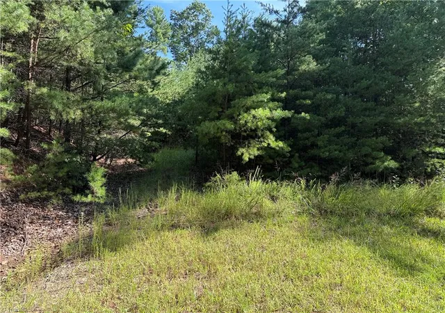 Photo 3 of Sale Pending at Lot 24 Wolf Pen Rd, Purlear, NC 28665 | MLS# 1235819 | Listing updated on 2026-09-21