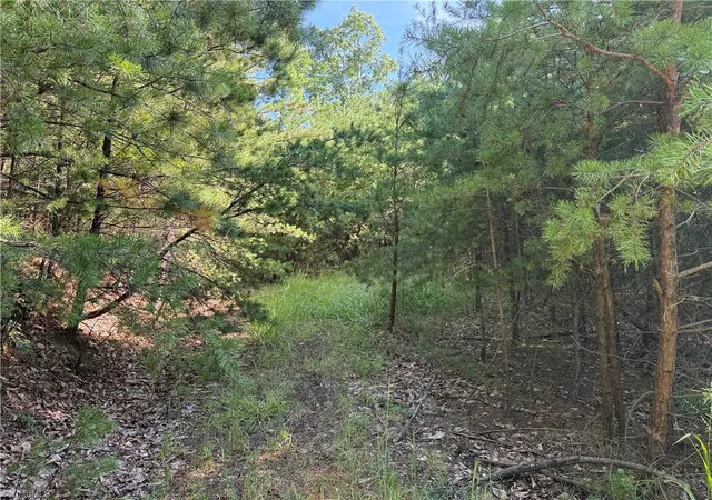 Photo 3 of Sale Pending at Lot 24 Wolf Pen Rd, Purlear, NC 28665 | MLS# 1235819 | Listing updated on 2026-09-21