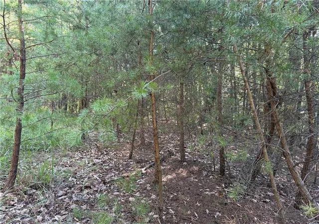 Photo 4 of Sale Pending at Lot 24 Wolf Pen Rd, Purlear, NC 28665 | MLS# 1235819 | Listing updated on 2026-09-21