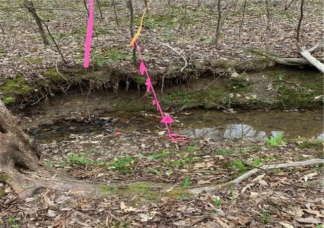 Photo 3 of Land for sale at 0 Jess Smith Rd, Sophia, NC 27350 | MLS# 1236488 | Listing updated on 2026-09-23