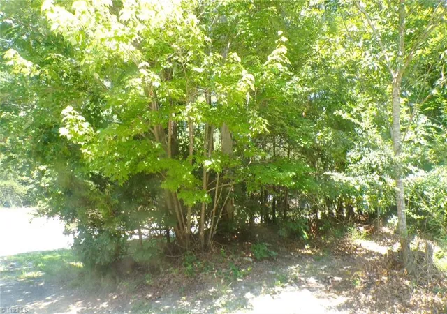 Photo 1 of Land for sale at 2581 Carl Allred Rd, Franklinville, NC 27248 | MLS# 1236120 | Listing updated on 2026-09-18