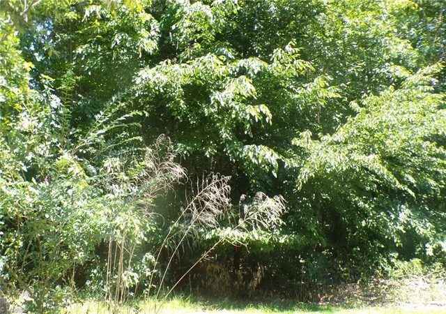 Photo 2 of Land for sale at 2581 Carl Allred Rd, Franklinville, NC 27248 | MLS# 1236120 | Listing updated on 2026-09-18