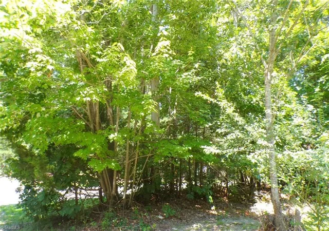 Photo 32 of Land for sale at 2581 Carl Allred Rd, Franklinville, NC 27248 | MLS# 1236120 | Listing updated on 2026-09-18