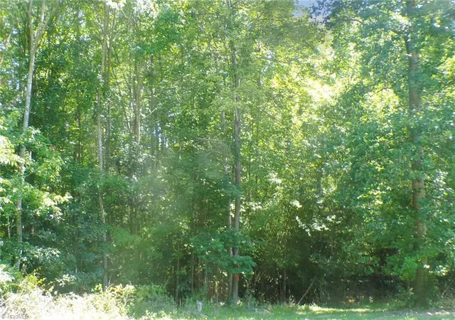 Photo 3 of Land for sale at 2581 Carl Allred Rd, Franklinville, NC 27248 | MLS# 1236120 | Listing updated on 2026-09-18
