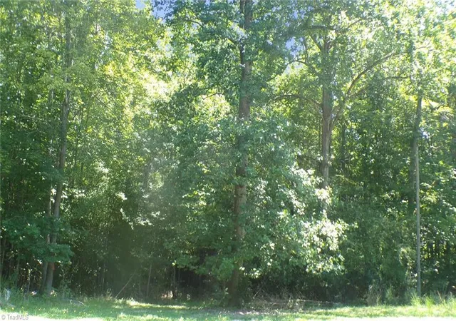 Photo 3 of Land for sale at 2581 Carl Allred Rd, Franklinville, NC 27248 | MLS# 1236120 | Listing updated on 2026-09-18