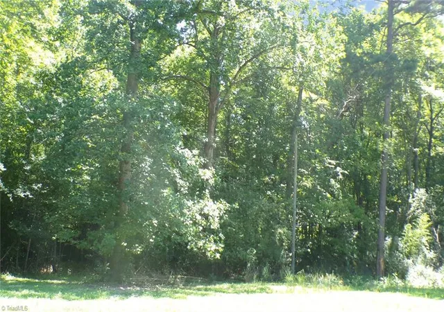 Photo 4 of Land for sale at 2581 Carl Allred Rd, Franklinville, NC 27248 | MLS# 1236120 | Listing updated on 2026-09-18