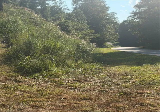 Photo 3 of Land for sale at 0 Lake Ridge Dr, Wilkesboro, NC 28697 | MLS# 1234265 | Listing updated on 2026-09-02