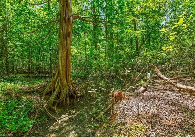Photo 4 of Land for sale at 0 Alma Dr, Winston Salem, NC 27105 | MLS# 1234764 | Listing updated on 2026-09-06