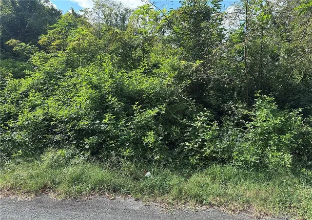 Land for sale at 1022 S Salisbury St, Lexington, NC 27292 | MLS# 1235628