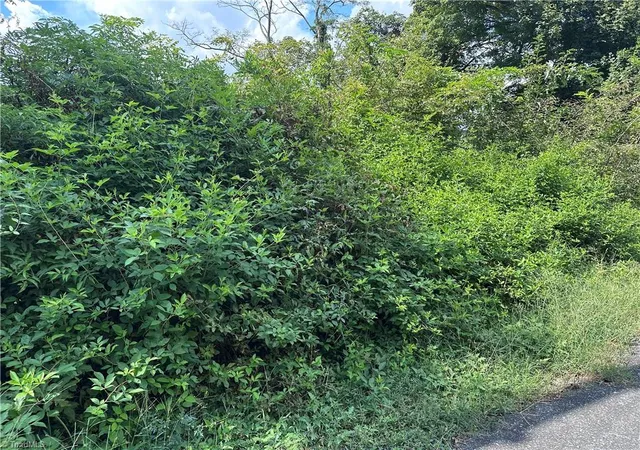 Photo 3 of Land for sale at 1022 S Salisbury St, Lexington, NC 27292 | MLS# 1235628 | Listing updated on 2026-09-18