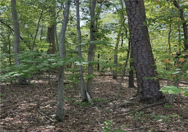 Photo 2 of Sale Pending at 000 Mizpah Church Rd, Reidsville, NC 27320 | MLS# 1234714 | Listing updated on 2026-09-18