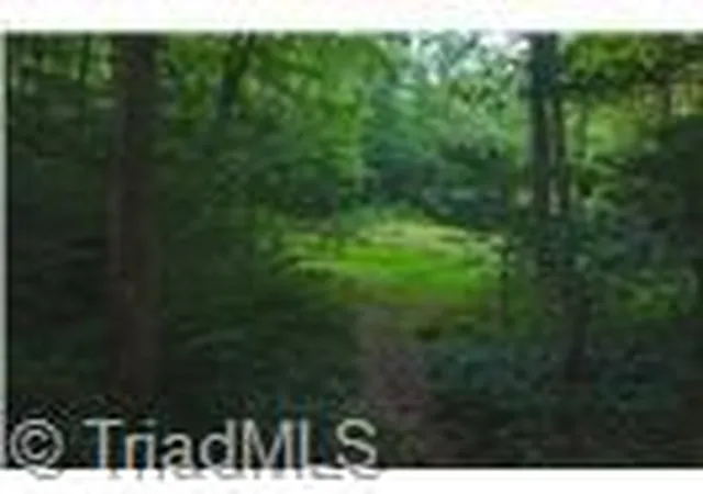 Photo 3 of Land for sale at 4157 Kirby Mountain Rd, Lenoir, NC 28645 | MLS# 1234238 | Listing updated on 2026-09-01